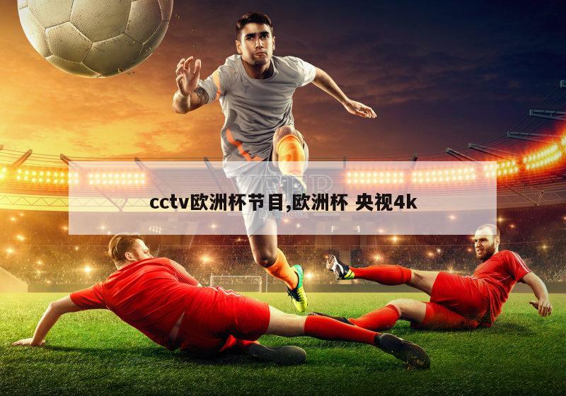 cctv欧洲杯节目,欧洲杯 央视4k