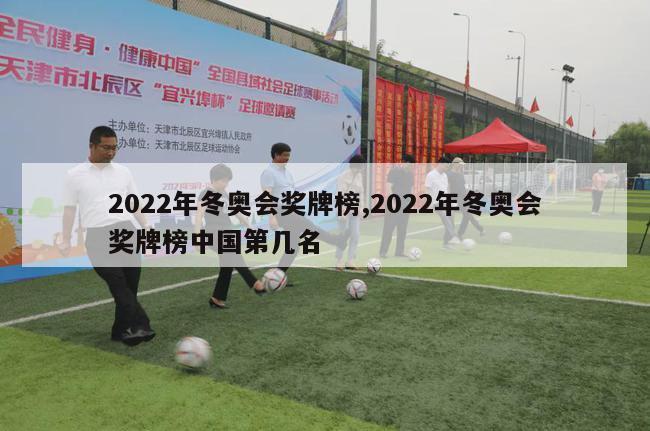 2022年冬奥会奖牌榜,2022年冬奥会奖牌榜中国第几名