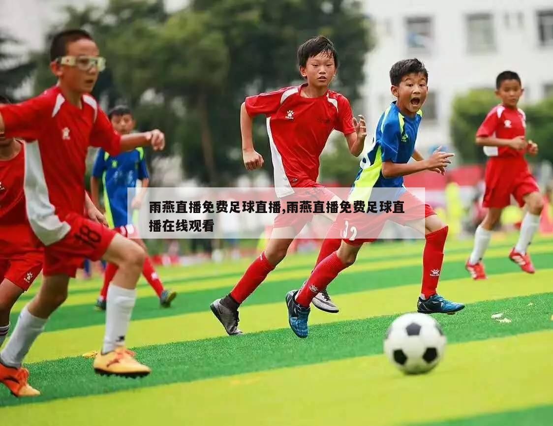 雨燕直播免费足球直播,雨燕直播免费足球直播在线观看