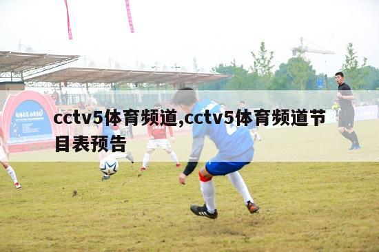 cctv5体育频道,cctv5体育频道节目表预告