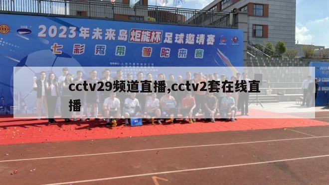 cctv29频道直播,cctv2套在线直播