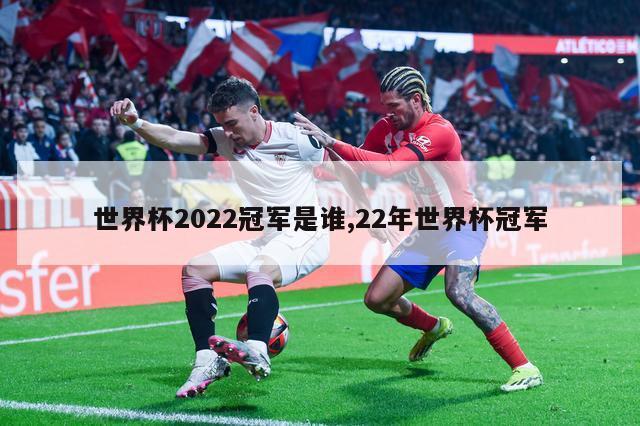 世界杯2022冠军是谁,22年世界杯冠军