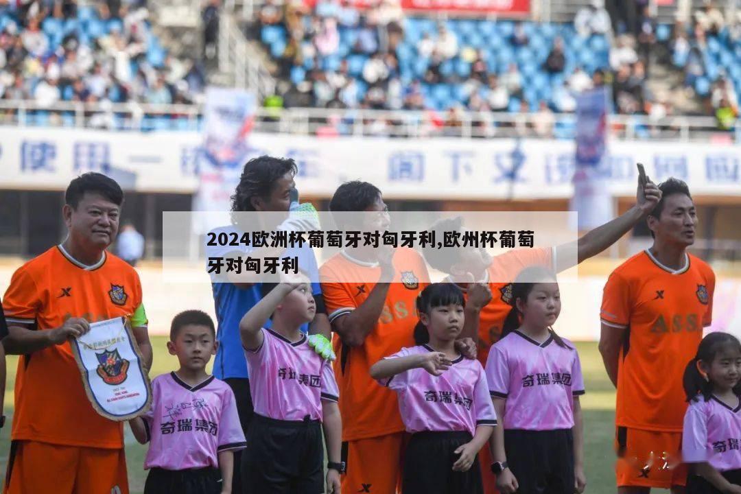 2024欧洲杯葡萄牙对匈牙利,欧州杯葡萄牙对匈牙利