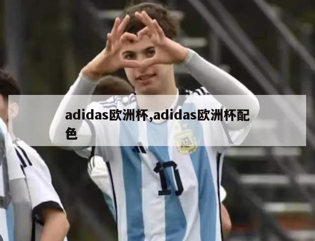 adidas欧洲杯,adidas欧洲杯配色